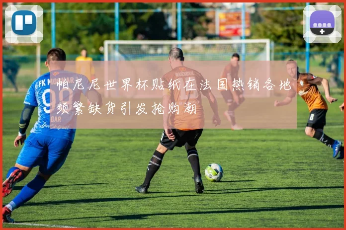 帕尼尼世界杯贴纸在法国热销各地频繁缺货引发抢购潮