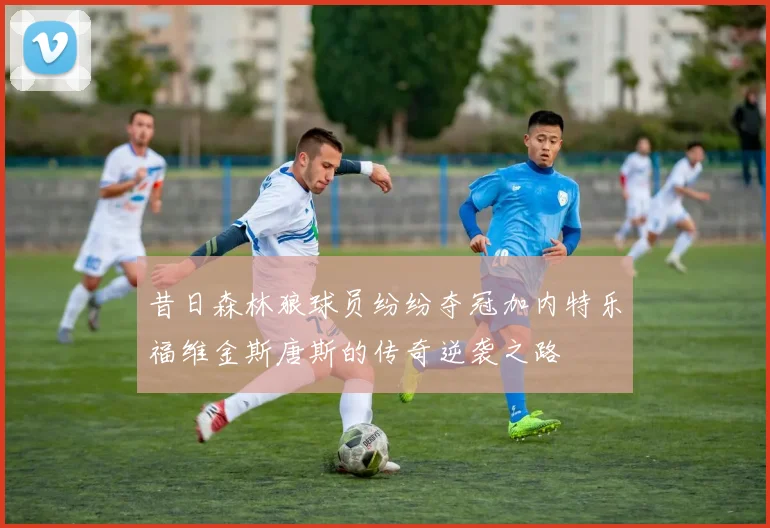 昔日森林狼球员纷纷夺冠加内特乐福维金斯唐斯的传奇逆袭之路